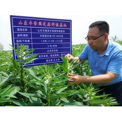 出口品質(zhì)芝麻醬，就選豐香園芝麻食品——您值得信賴的咨詢合作伙伴